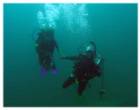 Divemaster som var lite väl överbeskyddande. Simma runt och hålla hand, njaaaaaaaaaaaaa.