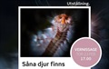 Såna djur finns - marin utställning