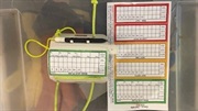 Dive Rite wrist slate med decoplan